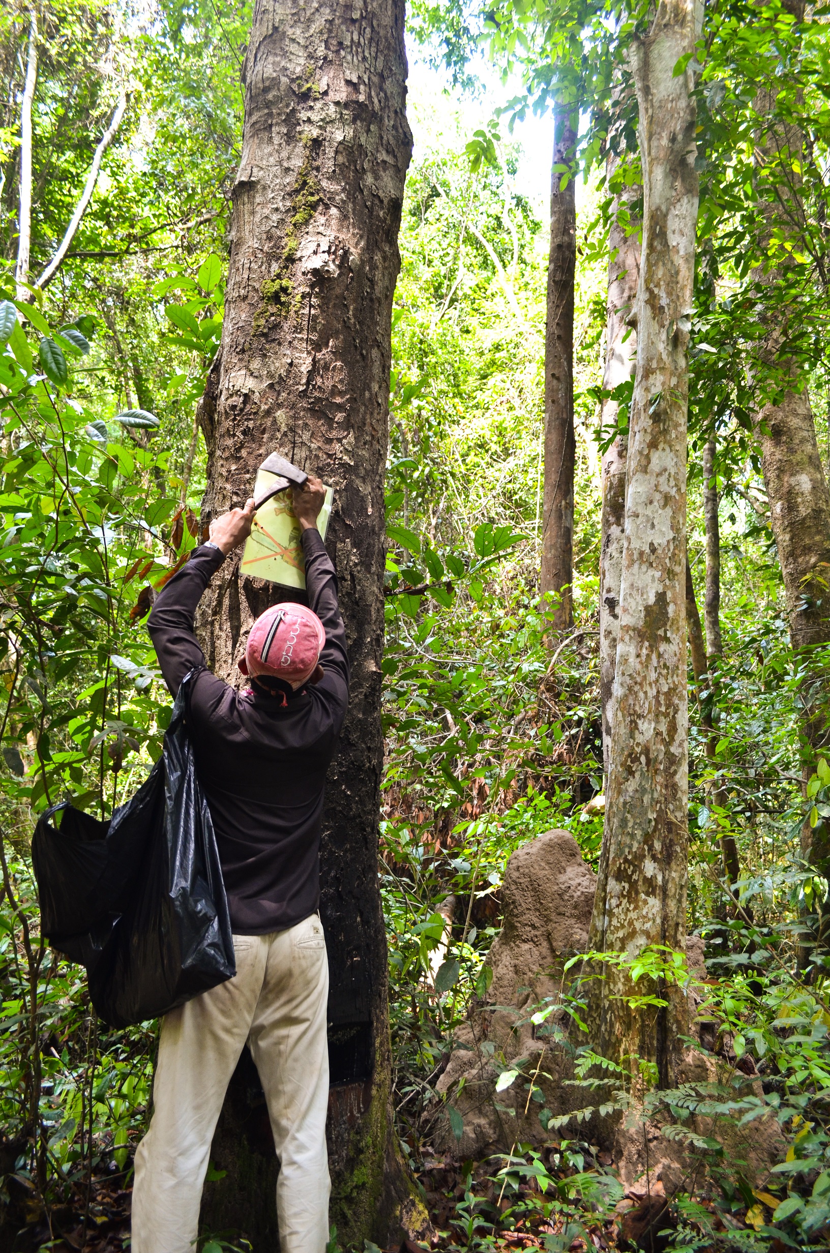 Putting up signs with no logging nerea turreira garcia