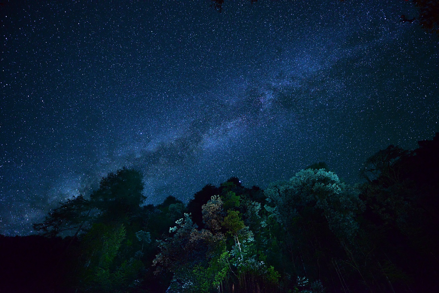 Night