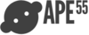 Ape55logo3