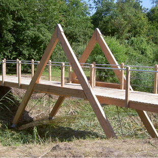 Idealenco_brug_aap