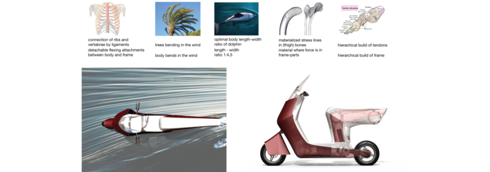 Bio%20inspiration%20from%20reshape