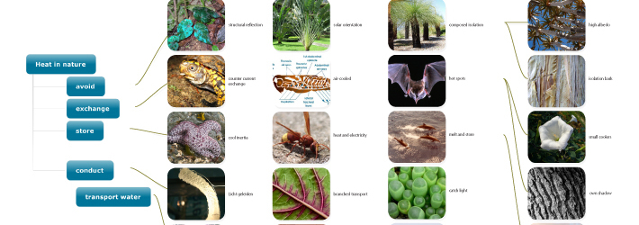 Biomimicry%202