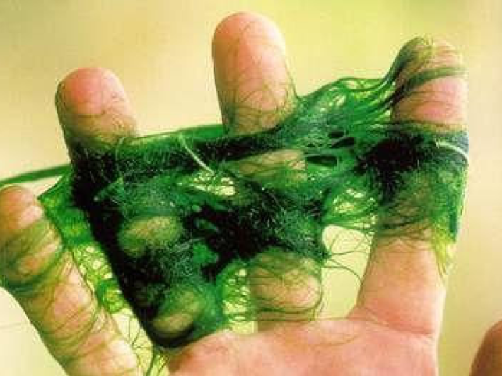 Spiro%20in%20hand