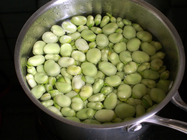 Éplucher les fèves et cuisson des fèves - Recette des fèves cuites à l