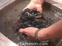 comment laver les moules