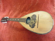 rosewood inlaid mandolin c1898