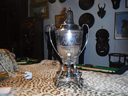 Plated Samovar