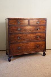 Regency Mahogany Chest of Draw