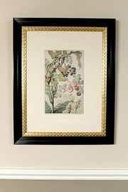 antique art, paintings, pictures victorian hand coloured floral Victorian Hand Coloured Floral