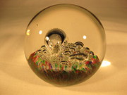 Julia Donnelly Studio Art Glas