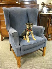 Antique wing chair