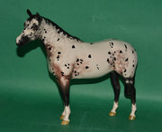 antique ceramics beswick appaloosa stallion mo Beswick Appaloosa Stallion Mo