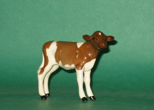 calf model