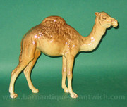 antique ceramics beswick camel model no 1044 Beswick Camel Model No 1044