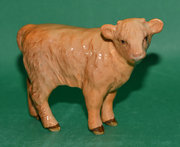 antique ceramics beswick highland calf model no Beswick Highland Calf Model No