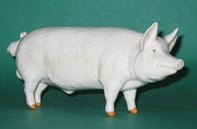 antique ceramics beswick large white boar mode Beswick Large White Boar Mode