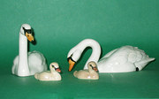 Beswick Swan Family