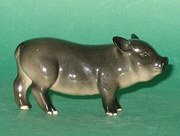Royal Doulton Vietnamese PotBe