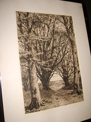 antique art, paintings, pictures frederick albert slocombe sign Frederick Albert Slocombe Sign