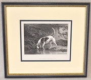 Set of 4 Prints of Hounds  Q32