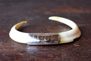 Fine Pair of Silver Mounted Wi