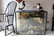 Ornithological Quintet Group o