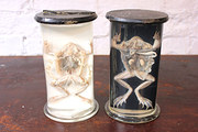 Two c1905 Preserved Specimens