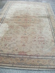 100 Woolen Handmade Carpet