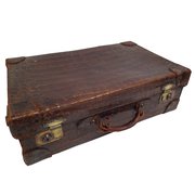 Victorian Neat Sized Crocodile