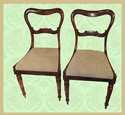 antique furniture pair william iv rosewood dinin Pair William IV rosewood dinin