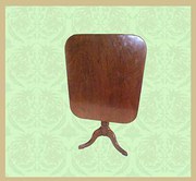 Regency mahogany salesmans sam