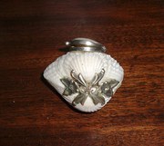 Vintage natural Cockel shellsi