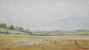 Henry Albert Hartland