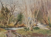 John Hobson Nicholson