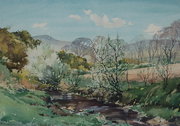 John Hobson Nicholson