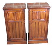 Mahogany pair of pedestal cabi