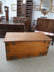 Camphor Trunk