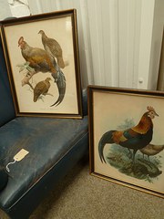 Pair of Pictures