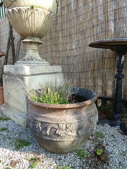 Terracotta Pot