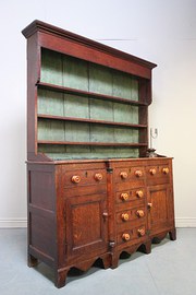 Impressive Caernarfonshire Ant