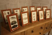 Lovely Collection of 12 Antiqu