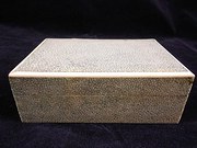 Shagreen Box
