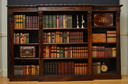William IV Rosewood Bookcase