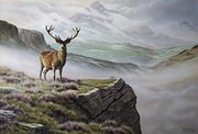 Steven Townsend Original