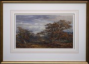 Frederick Mercer fl1871c1929