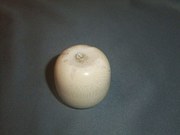 Early 20th Century Ivory Powde