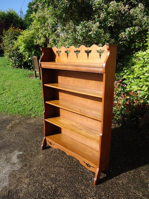 Arts & Crafts Bookcase with butterflies