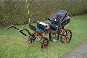 Victorian Childs Pheaton