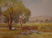 Tom Campbell   1865  1943 Wate