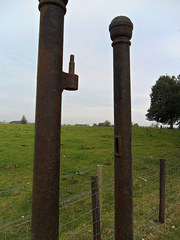 Pair of Balanced fully Intact